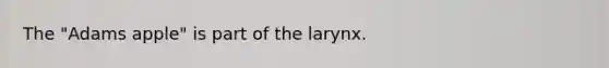 The "Adams apple" is part of the larynx.