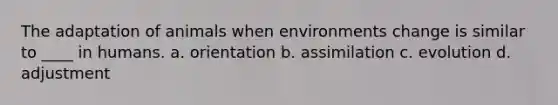 The adaptation of animals when environments change is similar to ____ in humans. a. orientation b. assimilation c. evolution d. adjustment