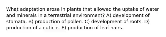 What adaptation arose in plants that allowed the uptake of water and minerals in a terrestrial environment? A) development of stomata. B) production of pollen. C) development of roots. D) production of a cuticle. E) production of leaf hairs.