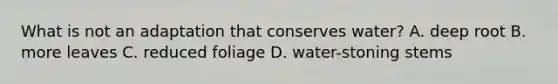 What is not an adaptation that conserves water? A. deep root B. more leaves C. reduced foliage D. water-stoning stems