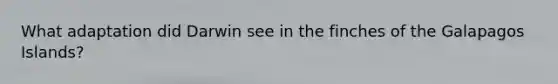 What adaptation did Darwin see in the finches of the Galapagos Islands?