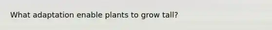 What adaptation enable plants to grow tall?