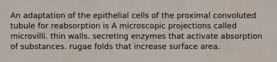 An adaptation of the epithelial cells of the proximal convoluted tubule for reabsorption is A microscopic projections called microvilli. thin walls. secreting enzymes that activate absorption of substances. rugae folds that increase surface area.