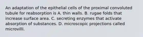 An adaptation of the epithelial cells of the proximal convoluted tubule for reabsorption is A. thin walls. B. rugae folds that increase surface area. C. secreting enzymes that activate absorption of substances. D. microscopic projections called microvilli.