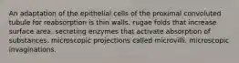 An adaptation of the epithelial cells of the proximal convoluted tubule for reabsorption is thin walls. rugae folds that increase surface area. secreting enzymes that activate absorption of substances. microscopic projections called microvilli. microscopic invaginations.