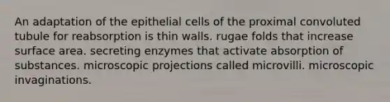 An adaptation of the epithelial cells of the proximal convoluted tubule for reabsorption is thin walls. rugae folds that increase surface area. secreting enzymes that activate absorption of substances. microscopic projections called microvilli. microscopic invaginations.