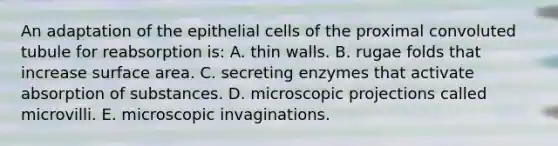 An adaptation of the epithelial cells of the proximal convoluted tubule for reabsorption is: A. thin walls. B. rugae folds that increase surface area. C. secreting enzymes that activate absorption of substances. D. microscopic projections called microvilli. E. microscopic invaginations.