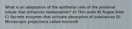 What is an adaptation of the epithelial cells of the proximal tubule that enhances reabsorption? A) Thin walls B) Rugae folds C) Secrete enzymes that activate absorption of substances D) Microscopic projections called microvilli