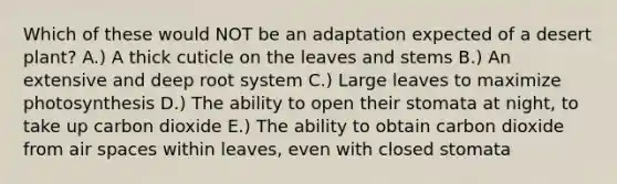 Which of these would NOT be an adaptation expected of a desert plant? A.) A thick cuticle on the leaves and stems B.) An extensive and deep root system C.) Large leaves to maximize photosynthesis D.) The ability to open their stomata at night, to take up carbon dioxide E.) The ability to obtain carbon dioxide from air spaces within leaves, even with closed stomata