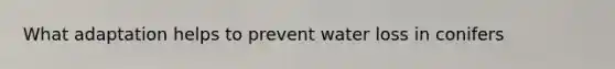 What adaptation helps to prevent water loss in conifers