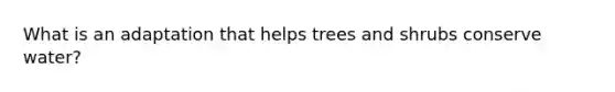 What is an adaptation that helps trees and shrubs conserve water?