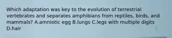 Which adaptation was key to the evolution of terrestrial vertebrates and separates amphibians from reptiles, birds, and mammals? A.amniotic egg B.lungs C.legs with multiple digits D.hair