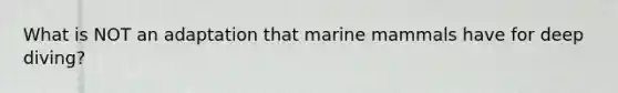 What is NOT an adaptation that marine mammals have for deep diving?