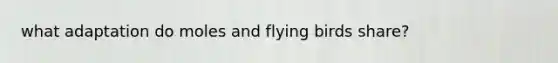 what adaptation do moles and flying birds share?