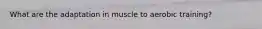 What are the adaptation in muscle to aerobic training?