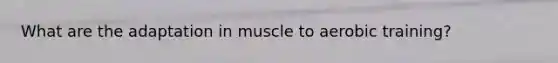 What are the adaptation in muscle to aerobic training?