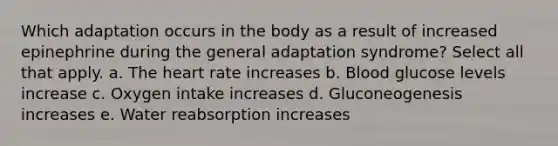 Which adaptation occurs in the body as a result of increased epinephrine during the general adaptation syndrome? Select all that apply. a. <a href='https://www.questionai.com/knowledge/kya8ocqc6o-the-heart' class='anchor-knowledge'>the heart</a> rate increases b. Blood glucose levels increase c. Oxygen intake increases d. Gluconeogenesis increases e. Water reabsorption increases