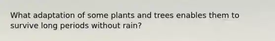 What adaptation of some plants and trees enables them to survive long periods without rain?