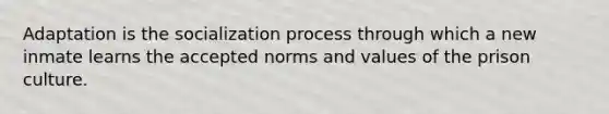 Adaptation is the socialization process through which a new inmate learns the accepted norms and values of the prison culture.