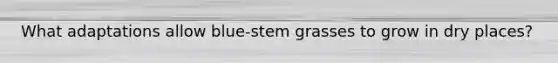 What adaptations allow blue-stem grasses to grow in dry places?