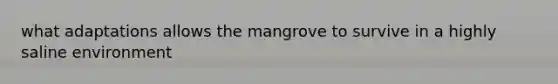 what adaptations allows the mangrove to survive in a highly saline environment