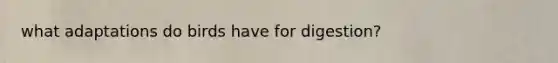 what adaptations do birds have for digestion?