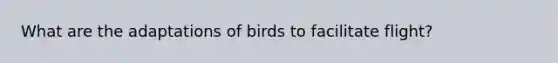 What are the adaptations of birds to facilitate flight?