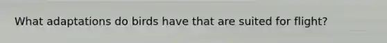 What adaptations do birds have that are suited for flight?