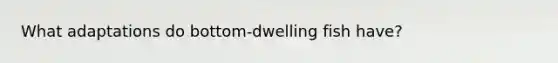 What adaptations do bottom-dwelling fish have?