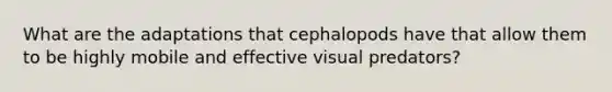 What are the adaptations that cephalopods have that allow them to be highly mobile and effective visual predators?