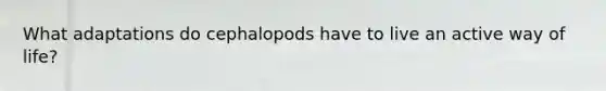 What adaptations do cephalopods have to live an active way of life?