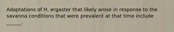 Adaptations of H. ergaster that likely arose in response to the savanna conditions that were prevalent at that time include ______.
