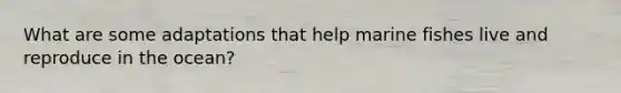 What are some adaptations that help marine fishes live and reproduce in the ocean?