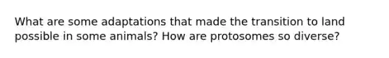 What are some adaptations that made the transition to land possible in some animals? How are protosomes so diverse?