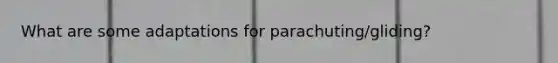 What are some adaptations for parachuting/gliding?