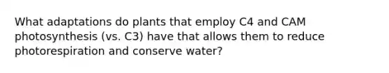 What adaptations do plants that employ C4 and CAM photosynthesis (vs. C3) have that allows them to reduce photorespiration and conserve water?