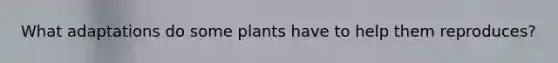 What adaptations do some plants have to help them reproduces?