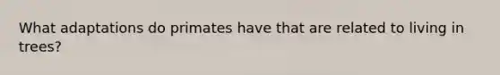 What adaptations do primates have that are related to living in trees?