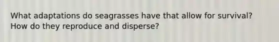 What adaptations do seagrasses have that allow for survival? How do they reproduce and disperse?