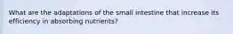 What are the adaptations of the small intestine that increase its efficiency in absorbing nutrients?