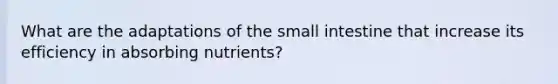 What are the adaptations of the small intestine that increase its efficiency in absorbing nutrients?