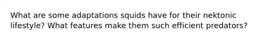 What are some adaptations squids have for their nektonic lifestyle? What features make them such efficient predators?