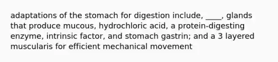 adaptations of the stomach for digestion include, ____, glands that produce mucous, hydrochloric acid, a protein-digesting enzyme, intrinsic factor, and stomach gastrin; and a 3 layered muscularis for efficient mechanical movement