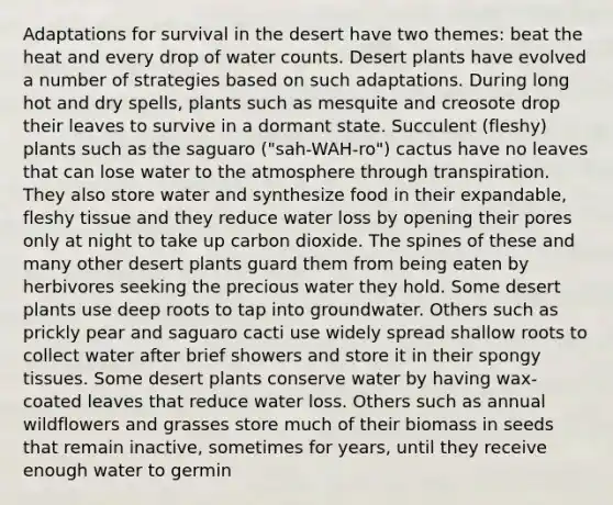 Adaptations for survival in the desert have two themes: beat the heat and every drop of water counts. Desert plants have evolved a number of strategies based on such adaptations. During long hot and dry spells, plants such as mesquite and creosote drop their leaves to survive in a dormant state. Succulent (fleshy) plants such as the saguaro ("sah-WAH-ro") cactus have no leaves that can lose water to the atmosphere through transpiration. They also store water and synthesize food in their expandable, fleshy tissue and they reduce water loss by opening their pores only at night to take up carbon dioxide. The spines of these and many other desert plants guard them from being eaten by herbivores seeking the precious water they hold. Some desert plants use deep roots to tap into groundwater. Others such as prickly pear and saguaro cacti use widely spread shallow roots to collect water after brief showers and store it in their spongy tissues. Some desert plants conserve water by having wax-coated leaves that reduce water loss. Others such as annual wildflowers and grasses store much of their biomass in seeds that remain inactive, sometimes for years, until they receive enough water to germin