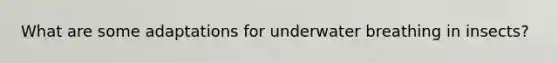 What are some adaptations for underwater breathing in insects?