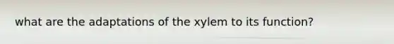 what are the adaptations of the xylem to its function?