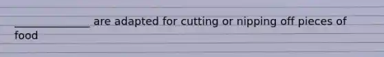 ______________ are adapted for cutting or nipping off pieces of food