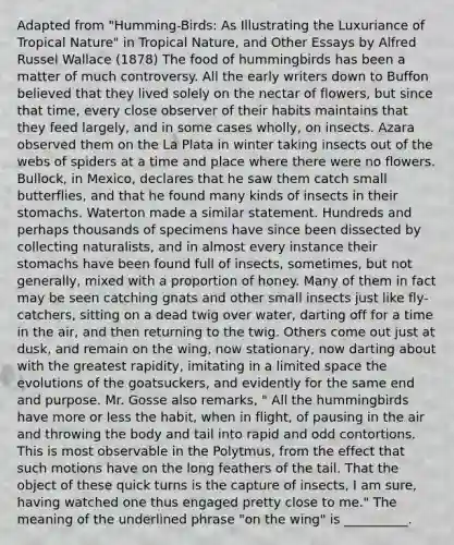 Adapted from "Humming-Birds: As Illustrating the Luxuriance of Tropical Nature" in Tropical Nature, and Other Essays by Alfred Russel Wallace (1878) The food of hummingbirds has been a matter of much controversy. All the early writers down to Buffon believed that they lived solely on the nectar of flowers, but since that time, every close observer of their habits maintains that they feed largely, and in some cases wholly, on insects. Azara observed them on the La Plata in winter taking insects out of the webs of spiders at a time and place where there were no flowers. Bullock, in Mexico, declares that he saw them catch small butterflies, and that he found many kinds of insects in their stomachs. Waterton made a similar statement. Hundreds and perhaps thousands of specimens have since been dissected by collecting naturalists, and in almost every instance their stomachs have been found full of insects, sometimes, but not generally, mixed with a proportion of honey. Many of them in fact may be seen catching gnats and other small insects just like fly-catchers, sitting on a dead twig over water, darting off for a time in the air, and then returning to the twig. Others come out just at dusk, and remain on the wing, now stationary, now darting about with the greatest rapidity, imitating in a limited space the evolutions of the goatsuckers, and evidently for the same end and purpose. Mr. Gosse also remarks, " All the hummingbirds have more or less the habit, when in flight, of pausing in the air and throwing the body and tail into rapid and odd contortions. This is most observable in the Polytmus, from the effect that such motions have on the long feathers of the tail. That the object of these quick turns is the capture of insects, I am sure, having watched one thus engaged pretty close to me." The meaning of the underlined phrase "on the wing" is __________.
