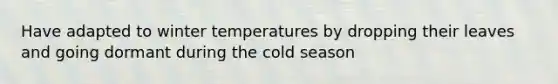 Have adapted to winter temperatures by dropping their leaves and going dormant during the cold season