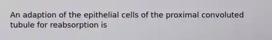 An adaption of the epithelial cells of the proximal convoluted tubule for reabsorption is